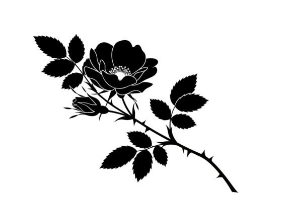 Black Silhouette Rose Branch with Leaves