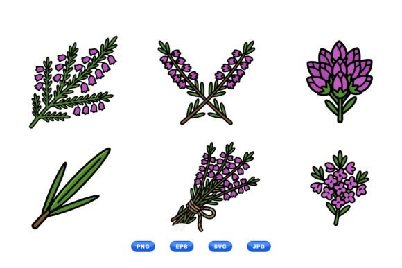 Lavender Botanical Clipart Set